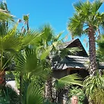 Kon Tiki רמטואל