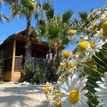 Kon Tiki Resort *